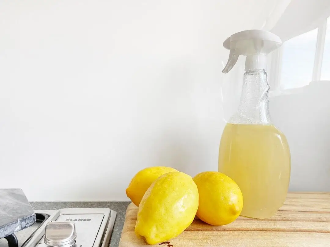 Eco-Friendly Cleaning Practices For Vacation Homes
